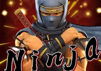 Ninja game thumbnail